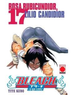 BLEACH BESTSELLER 17