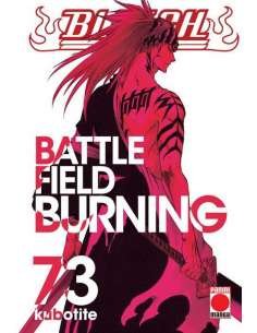 BLEACH 73