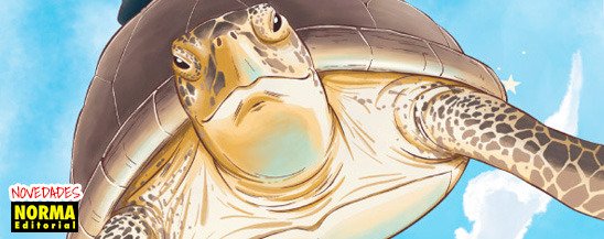 NOVEDADES NORMA EDITORIAL - 7 DE NOVIEMBRE 2025